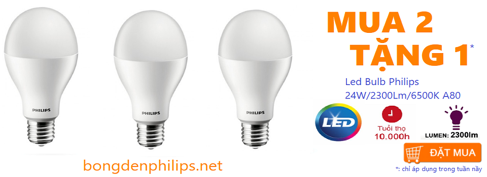 Bóng đèn Led Bulb Philips hiệu suất cao 24W/2300Lm/6500K A80